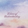 pedro ambiental - Echoes of understanding