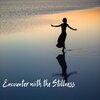 pedro ambiental - Encounter with the stillness