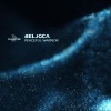 belocca《Peaceful Warrior》[MP3/LRC]