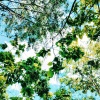 My Sweeting Sorrow - when will the rain end