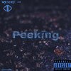 Solstice - Peaking (Explicit)