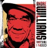 Andre Williams - My Time Will Come