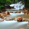 Lluvia del Bosque - Relaxing Waterfall Noise for Sleep 1