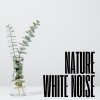Lucid Dreaming World-Collective Unconscious Mind、Sounds of Nature White Noise for Mindfulness, Meditation and Relaxation、White Noise Nature Sounds Baby Sleep - White Noise Vortex
