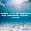 Baby Beethoven、Natural Sounds Selections、Zen Sounds - Ice Sheet Solitude