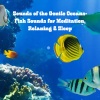 Natural Sounds、Natural Sounds Selections、Zen Sounds - Halibut's Hope
