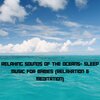 Baby Beethoven、Natural Sounds Selections、Zen Sounds - Black Drum's Blues