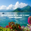 Baby Beethoven、Natural Sounds Selections、Zen Sounds - Nature's Wonder