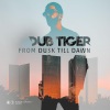 Dub Tiger、Filipe Esteves - Serious Day