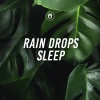 Nature Sounds - Hard Rain