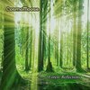 CosmoMoose、Christopher Medway - Forest Reflections