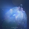 队长的解药、叁伍叁陆 - 予你 (0.8x)