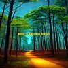 Sound of Crickets - Beautiful Chirping Crickets at Night