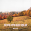 秦时明月 - 凄美地
