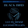 Luciano Pelliza、Lucas Aráoz - Black Bird
