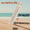 Swaglord、Oluwadamilola《Temperature (feat. Oluwadamilola)》[MP3/LRC]