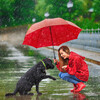 Rain Games、The Noise Project、Calm Dog Music - Best Friend Serenade Melodies
