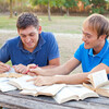 Birds In The Forest、Afternoon Chill Out、Studying Music Experience - Melodic Study Focus