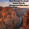 Baby Beethoven、Natural Sounds、Natural Sounds Selections - Canyon of Reflections