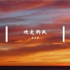 金亚雷 - VLOGBGMA