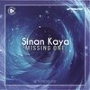 Sinan Kaya - Missing One