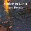 Lluvia del Bosque - Lluvia de Fondo para Dormir, Pt. 01