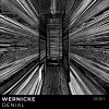Wernicke - Denial