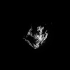 Wrong Again - Everybody Leaves