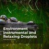 Nature Sounds、Sleep Sounds of Nature、Nature Sounds Nature Music - Circulating Riverbed