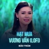 Bảo Trân、Đinh Hoàng Quốc - Hạt Mưa Vương Vấn (Lofi)