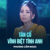Đinh Thiên Hương、Phuong Cam Ngoc、Quách Ngọc - Tân Cổ Vĩnh Biệt Tình Anh
