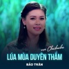 Bảo Trân、Trịnh Hưng - Lúa Mùa Duyên Thắm (Chachacha)