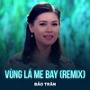 Bảo Trân、Anh Việt Thanh - Vùng Lá Me Bay (Remix)