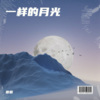 霏若若 - 一样的月光