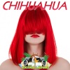 Extra Latino《Chihuahua》[MP3/LRC]