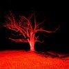 Seagrave - Edge Of The Woods (Explicit)