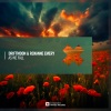 Driftmoon、Roxanne Emery - As We Fall