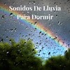 Lluvia del Bosque - Lluvia de Fondo para Dormir, Pt. 01