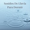 Lluvia del Bosque - Lluvia de Fondo para Dormir, Pt. 01