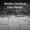Lluvia del Bosque - Lluvia de Fondo para Dormir, Pt. 01