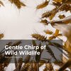 Nature Sounds、Sleep Sounds of Nature、Nature Sounds Nature Music - Waterfall in a Distance