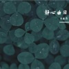 王佳莉 - 傲天