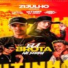 Dj Gabriel Do Bpm、Dj Dresch Da Caixa、Vitin da Serra - ELA BROTA NA SERRA (Explicit)