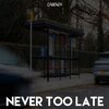 Cadenza - Never too late (D&B mix)