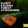 Kalimba Group - Darkness