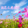 追梦、晓瑾 - 该怎么感谢你 (DJ月之歌版)