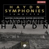 Austro-Hungarian Haydn Orchestra、Adam Fischer《Symphnoy No.24 in D major《IV Finale, allegro (D大调第24号交响曲《第四乐章 终曲《快板)》[MP3/LRC]