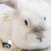 달빛 블루스 - 귀염뽀짝 (Cute cute)