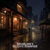 Rain Sound Studio、Rain Sounds & Nature Sounds、Life Sounds Nature - Moonlit Midnight Showers