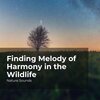Nature Sounds、Sleep Sounds of Nature、Nature Sounds Nature Music - Euphonious Rainforest